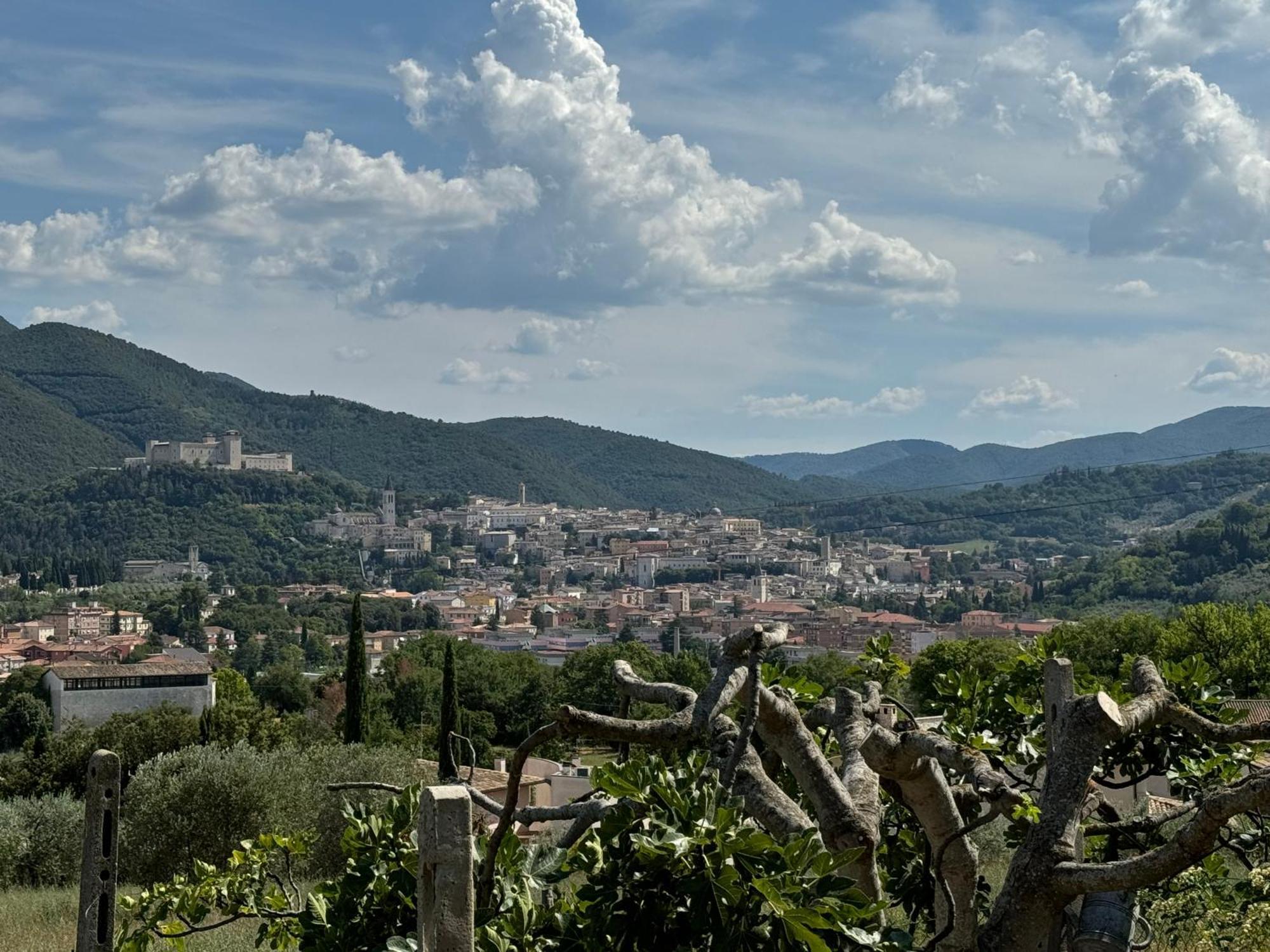 Pensjonat L'Antico Seminario Spoleto Zewnętrze zdjęcie